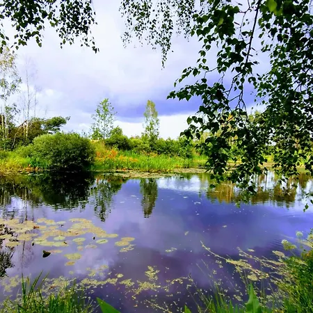 Domek Letniskowy Zloty Karas Widna Gora Room photo