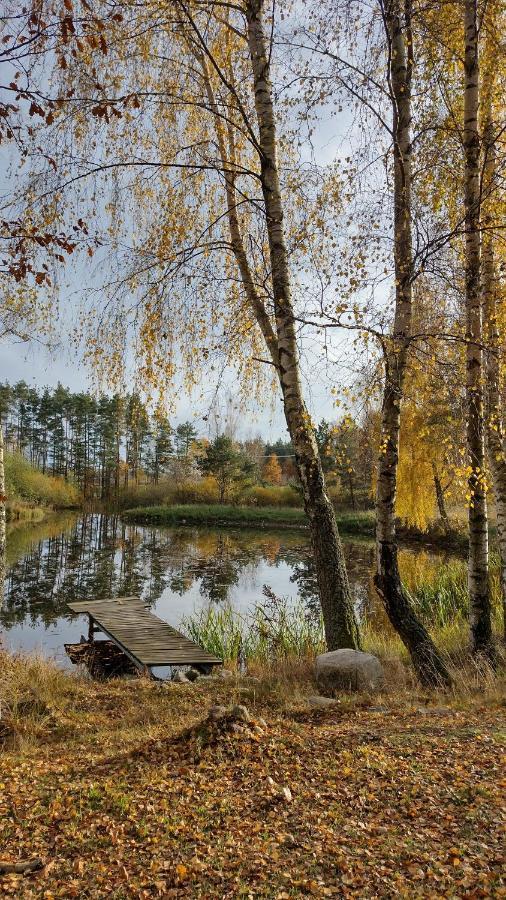 Letniskowy Zloty Karas Holiday home *