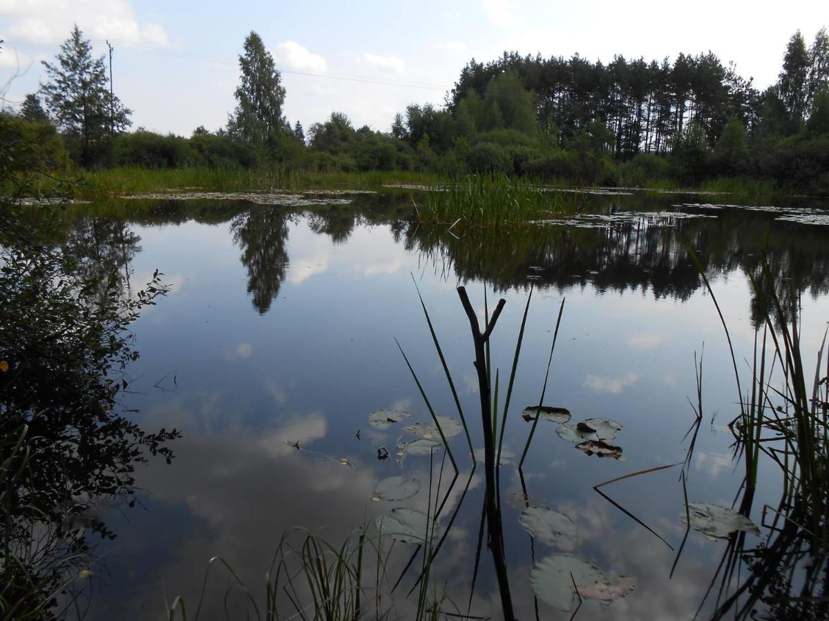 Letniskowy Zloty Karas Holiday home Widna Gora